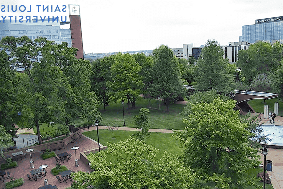 View of Doisy Research Center and the med center quad